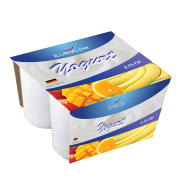 Mango/Orange Yogurt